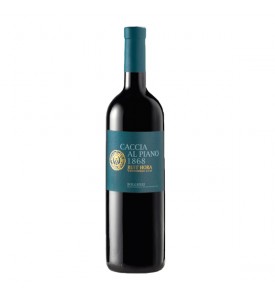 Bolgheri Ruit Hora DOC